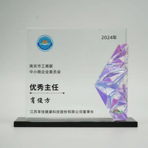 “向新而行·以质致远”享佳健康董事长肖俊方荣获2024年市工商联中小微企业委员会优秀主任荣誉称号！